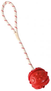 Trixie Spiel-Ball mit Seil